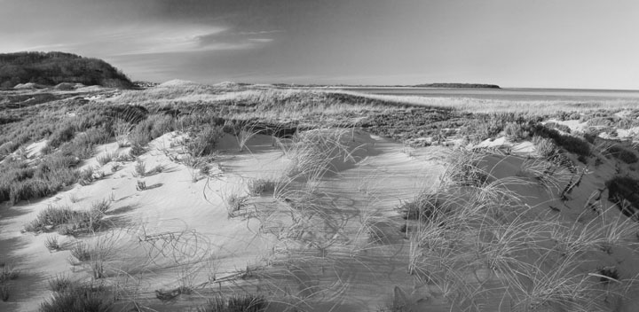 Crane Dunes and Beach