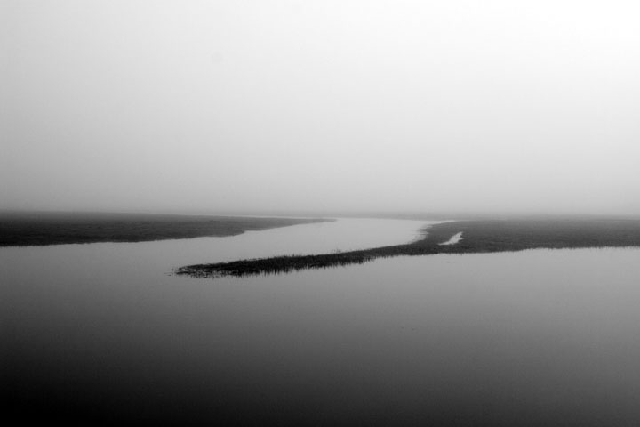 Essex Marsh and Fog