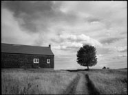 Hog Island Barn and Treet