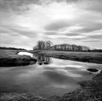 Reflection 1A Drumlins - Newbury, MA 